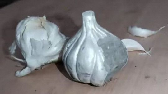 시멘트 마늘.<인디아투데이 보도 캡처>